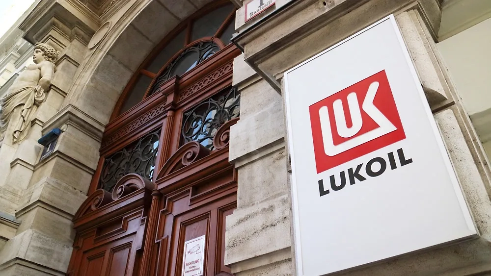 Обложка © ТАСС / Василий Шитов