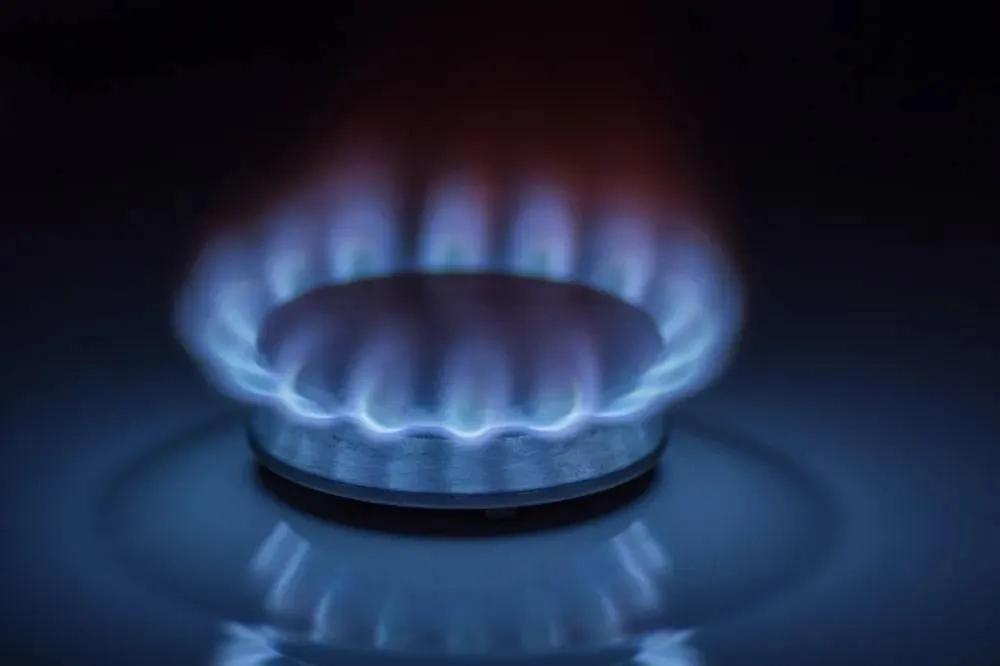 Обложка © Shutterstock / FOTODOM / A.Kolos