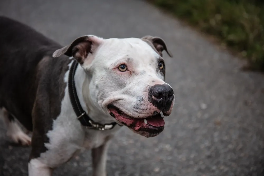 Обложка © Shutterstock / FOTODOM / Freddy Sky