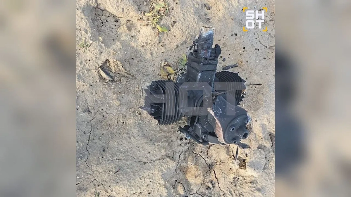 Обложка © SHOT