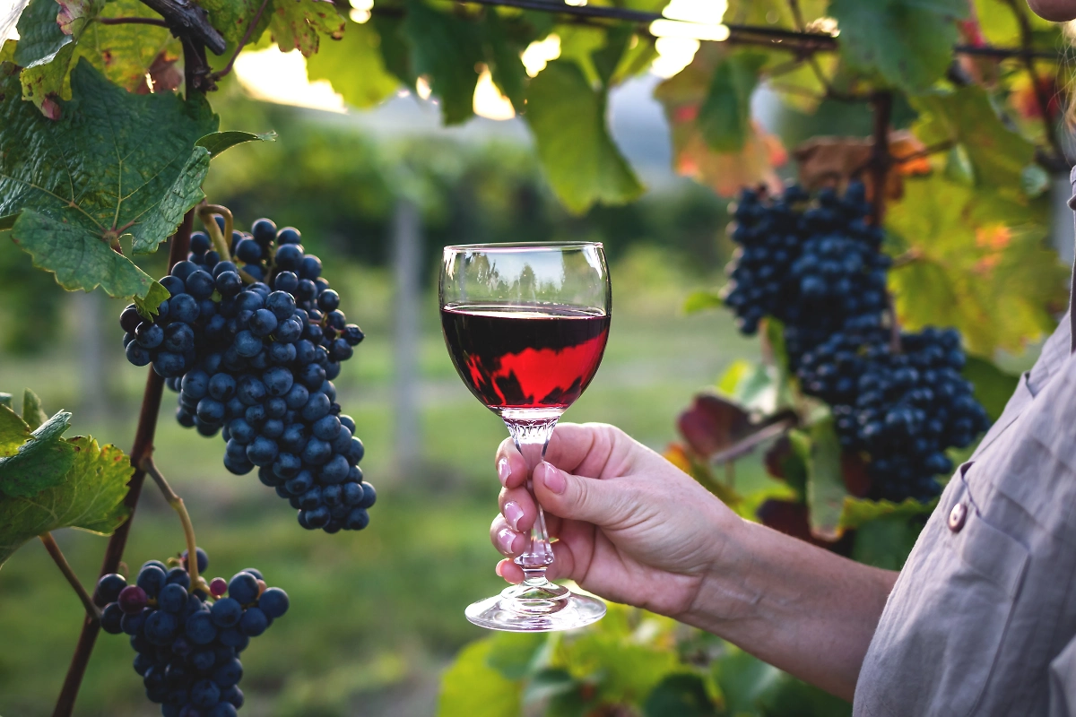 Вином в Интернете торгуют многие страны мира. Российские эксперты считают, что этот опыт успешен и его стоит повторить в России. Фото © Shutterstock / FOTODOM / encierro