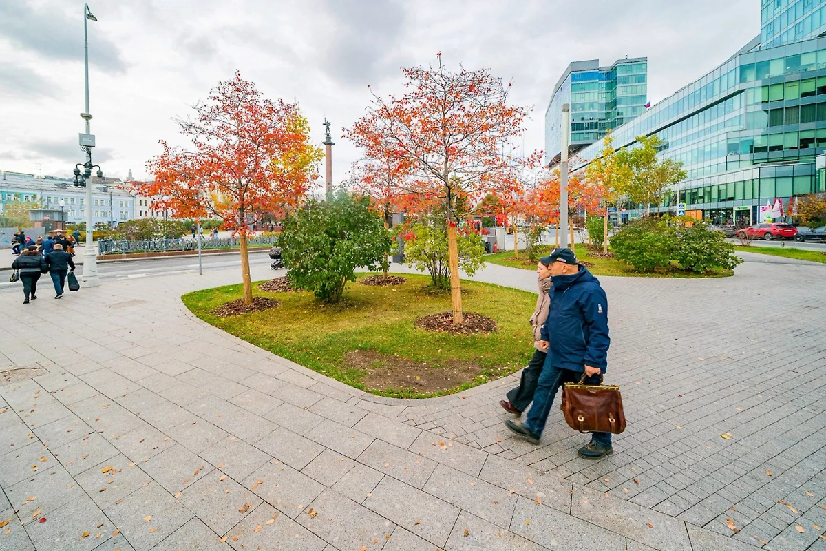 Обложка © Пресс-служба комплекса городского хозяйства Москвы