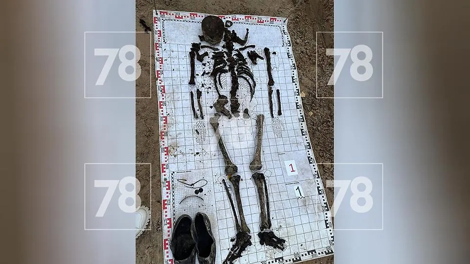 Хранившиеся в ящике останки. Фото © 78.ru