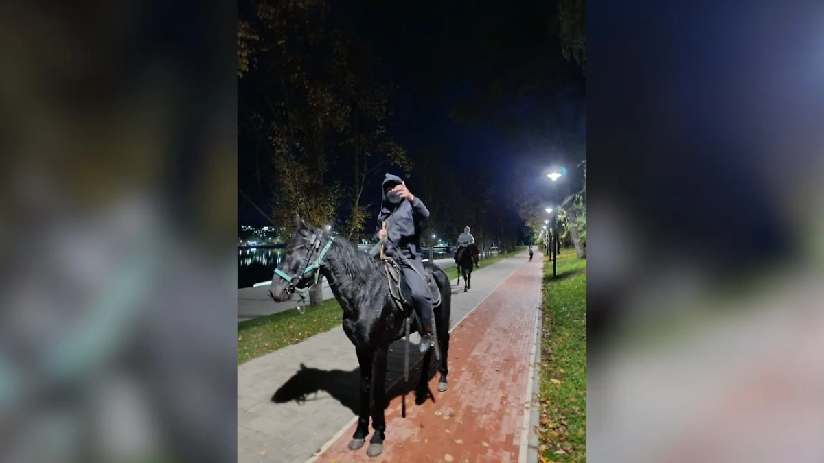 Обложка © Telegram / Евгений Моисеев