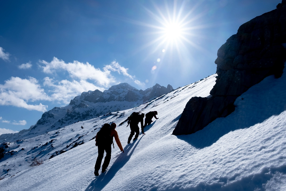 Обложка © Shutterstock / FOTODOM / emerald_media