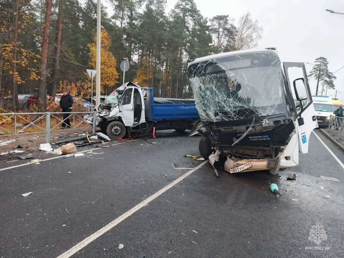 Жёсткое ДТП произошло на автодороге «Петербург-Ручьи» в Ломоносовском районе Ленинградской области. Фото © МЧС России