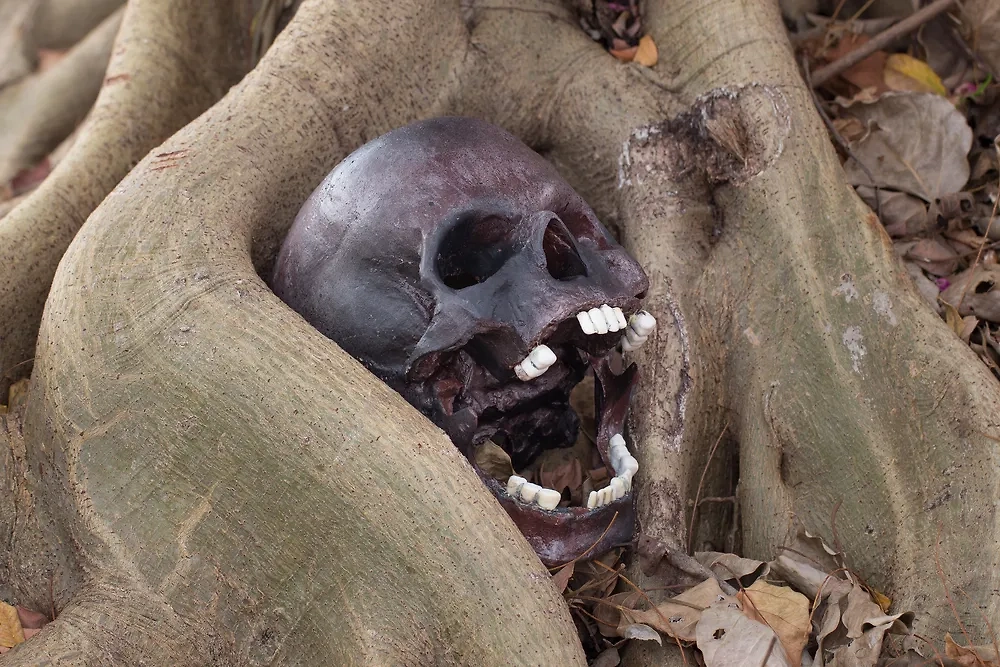 Обложка © Shutterstock / FOTODOM / papi8888