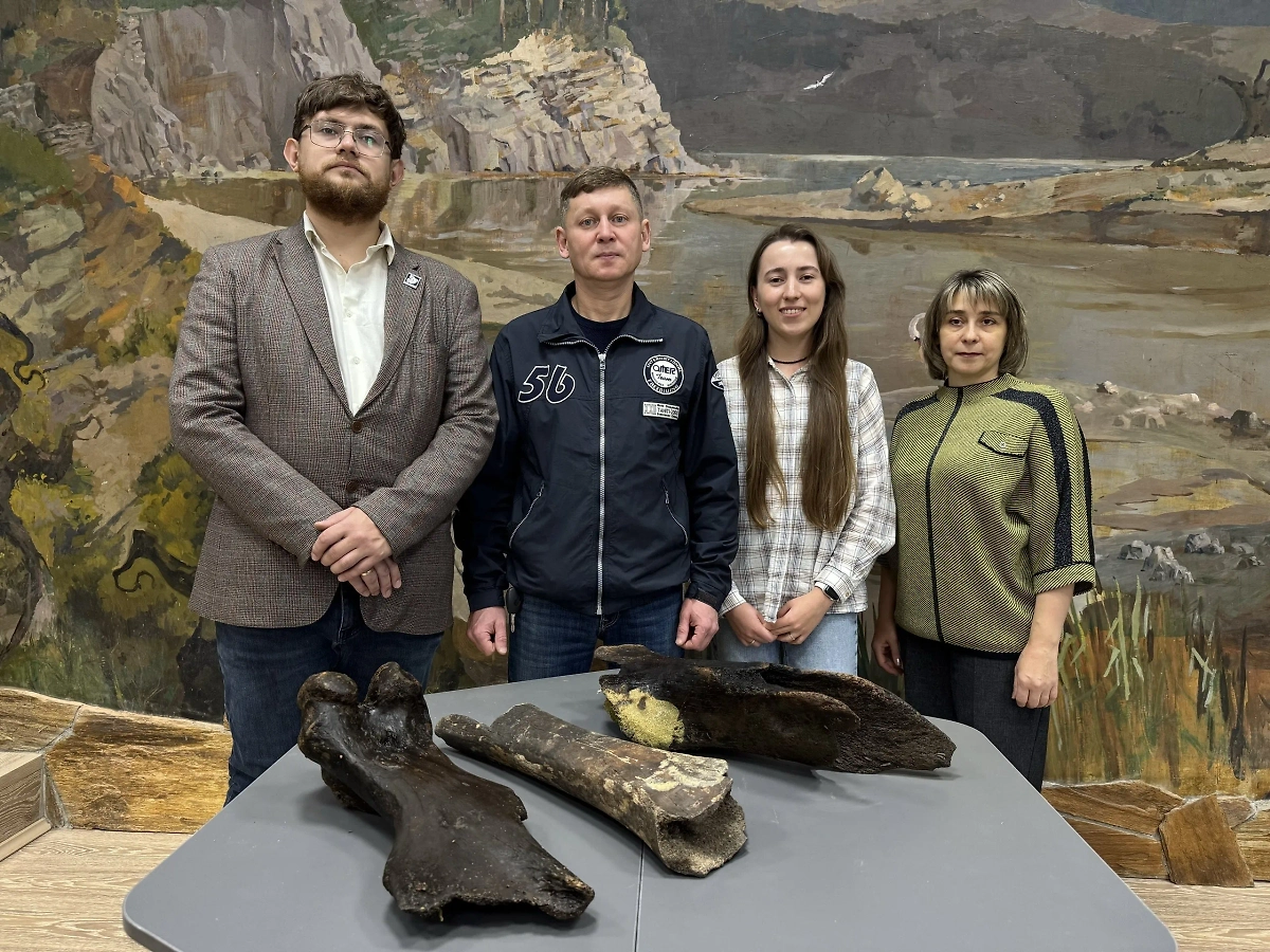 Фото © Зоологический музей Уфимского Университета Науки и Технологий