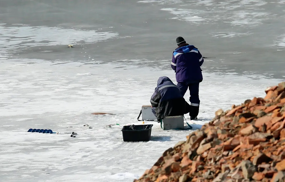 Обложка © РИА Новости / Илья Наймушин