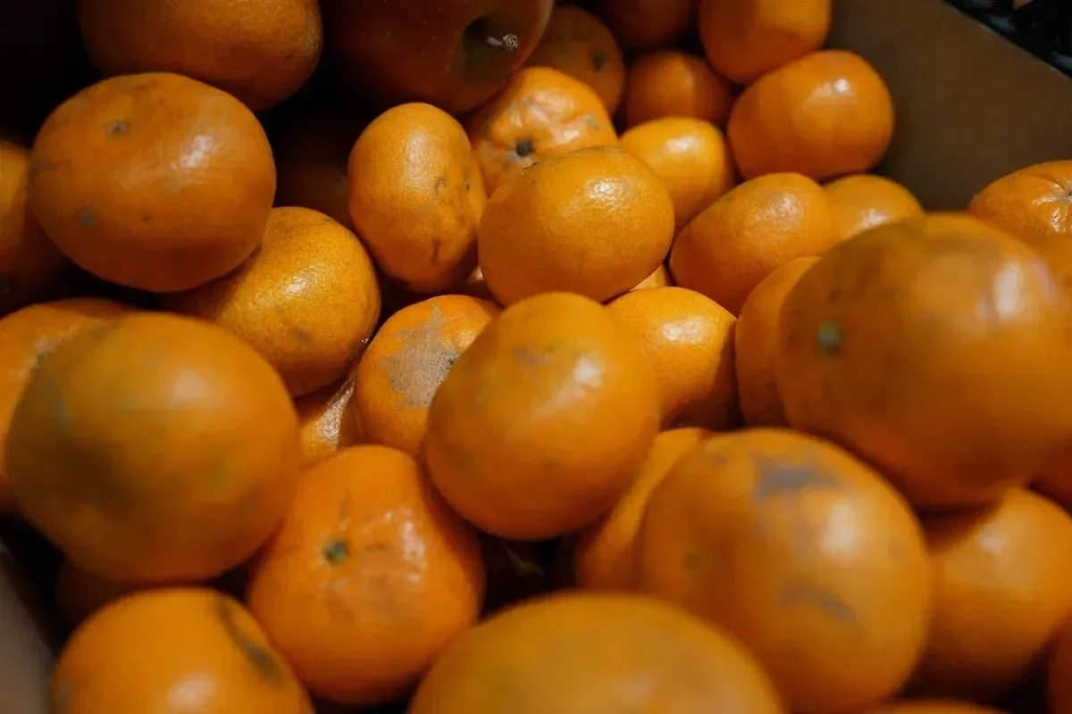 Обложка © Life.ru