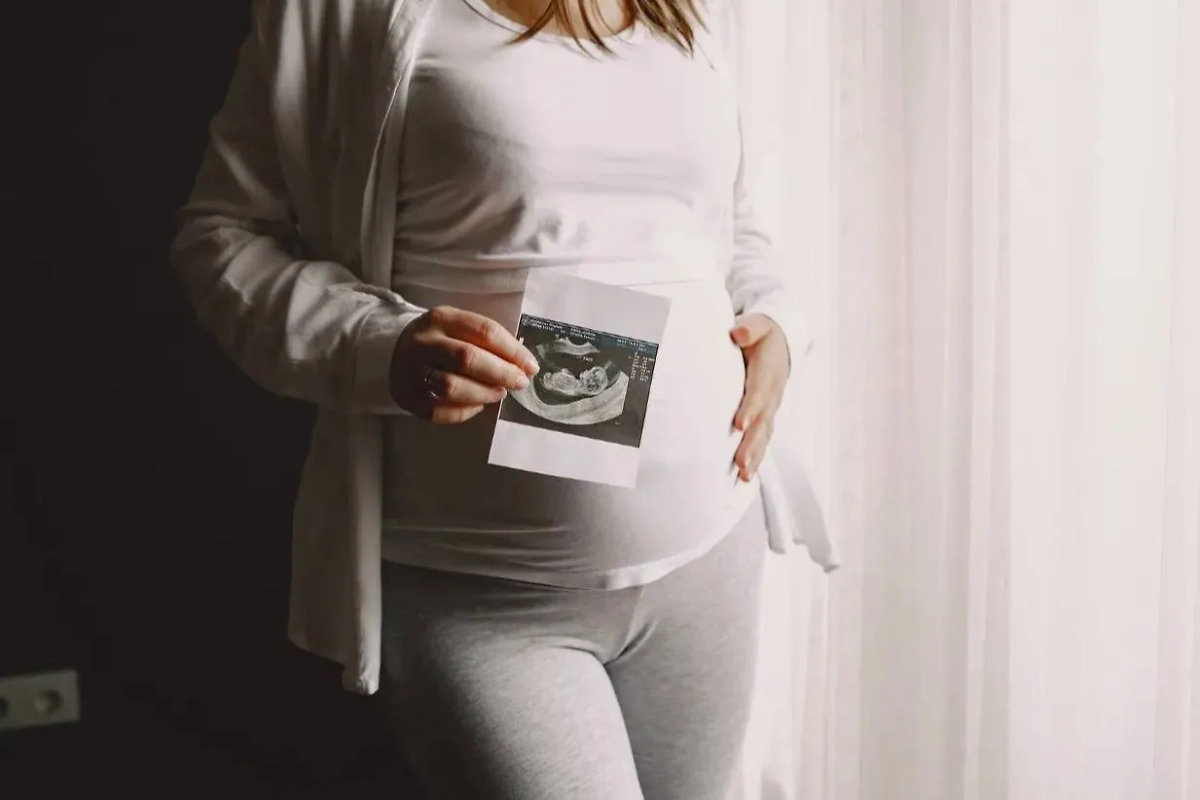 Обложка © freepik / prostooleh