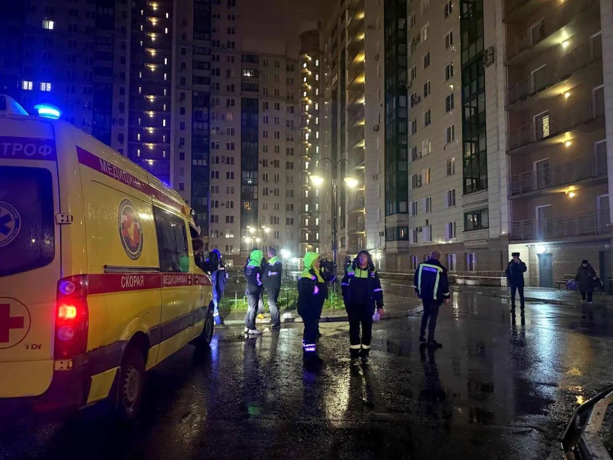 Обложка © Telegram / Воробьёв LIVE