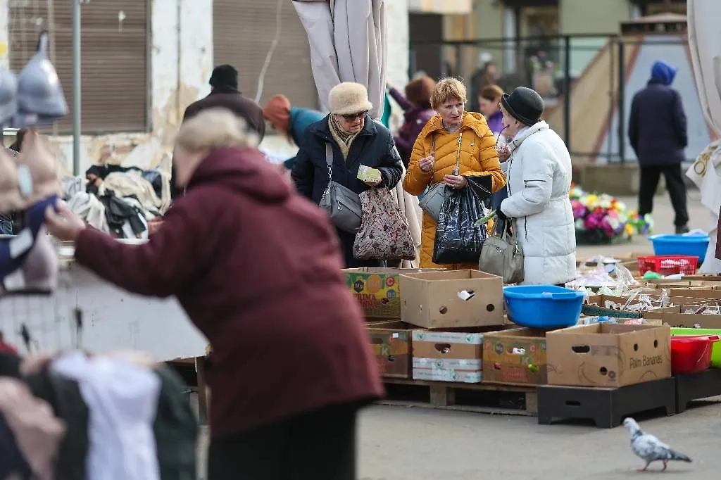 Обложка © ТАСС / NEWS.ru / Алексей Белкин