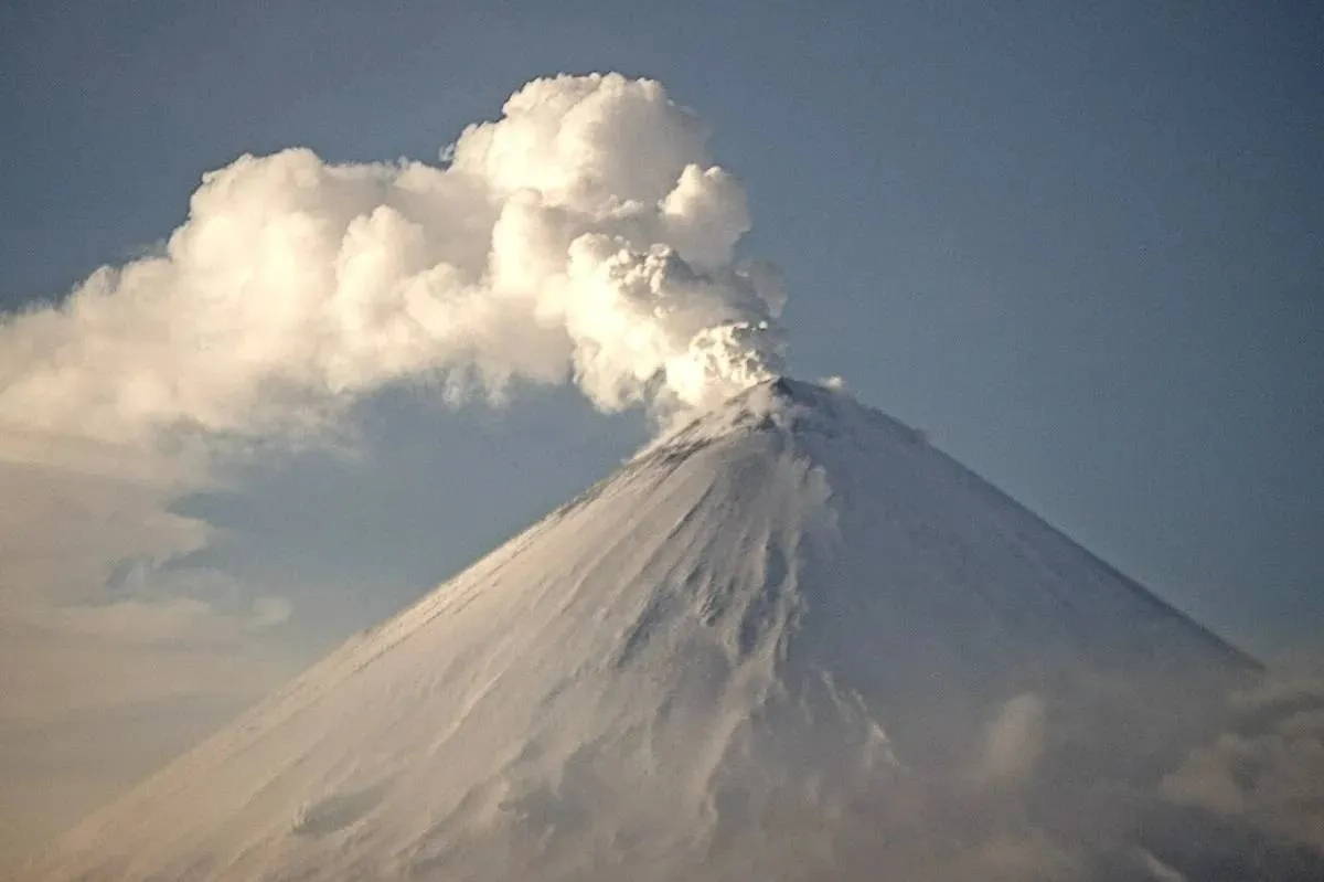 Обложка © Telegram / KVERT ИВиС ДВО РАН