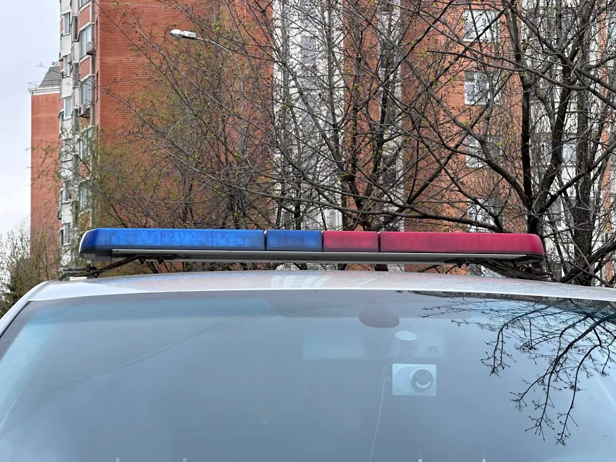 Обложка © Life.ru