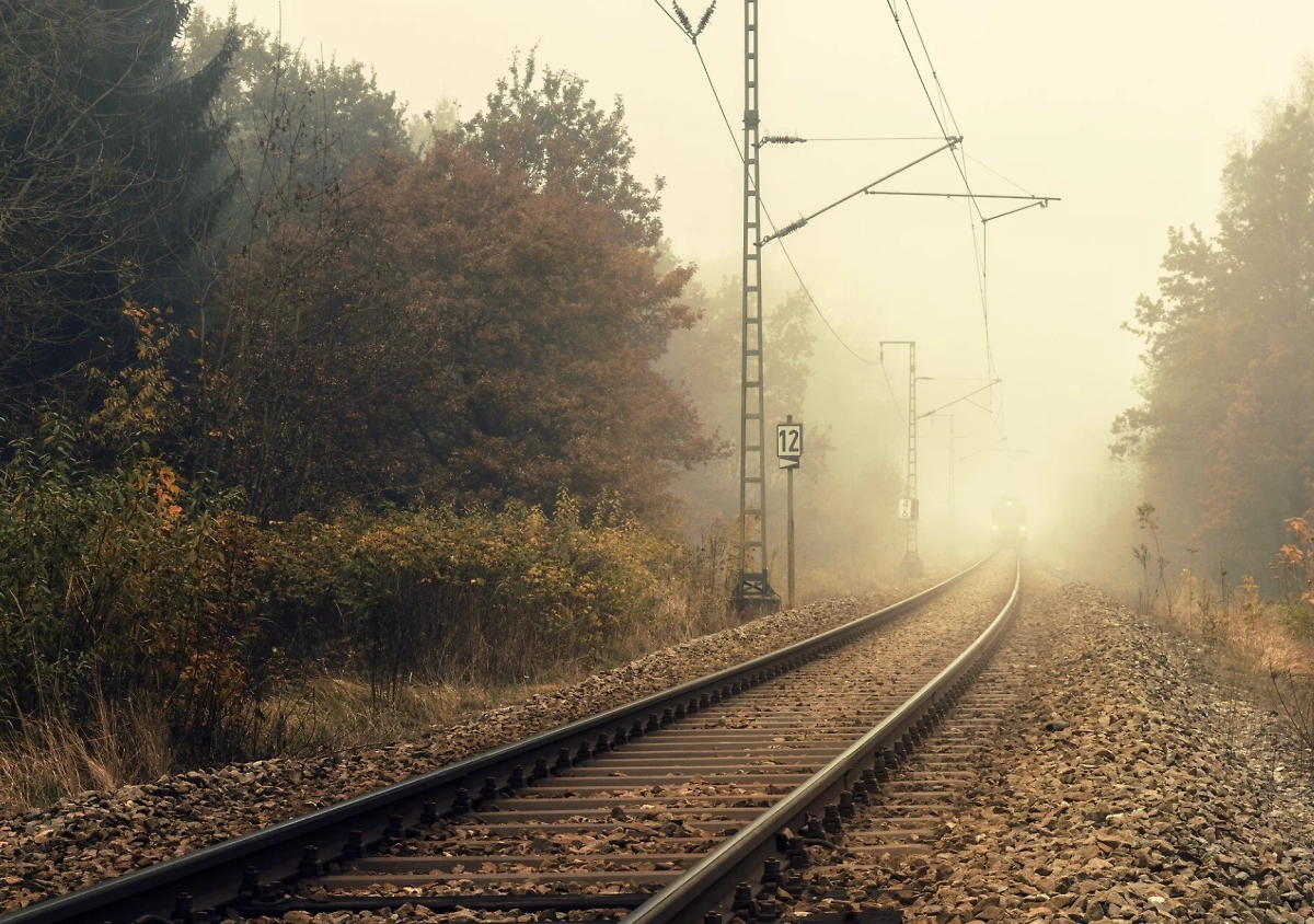 Обложка © freepik