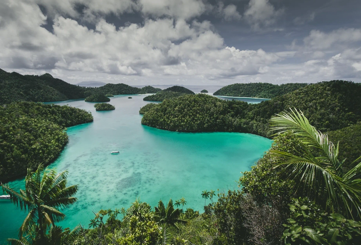 Обложка © freepik