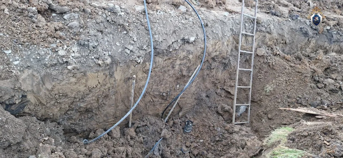 Обложка © Telegram / Хабаровский Следком