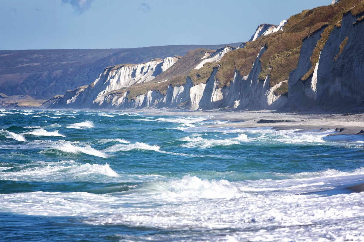 Обложка © Shutterstock / FOTODOM / Shchipkova Elena