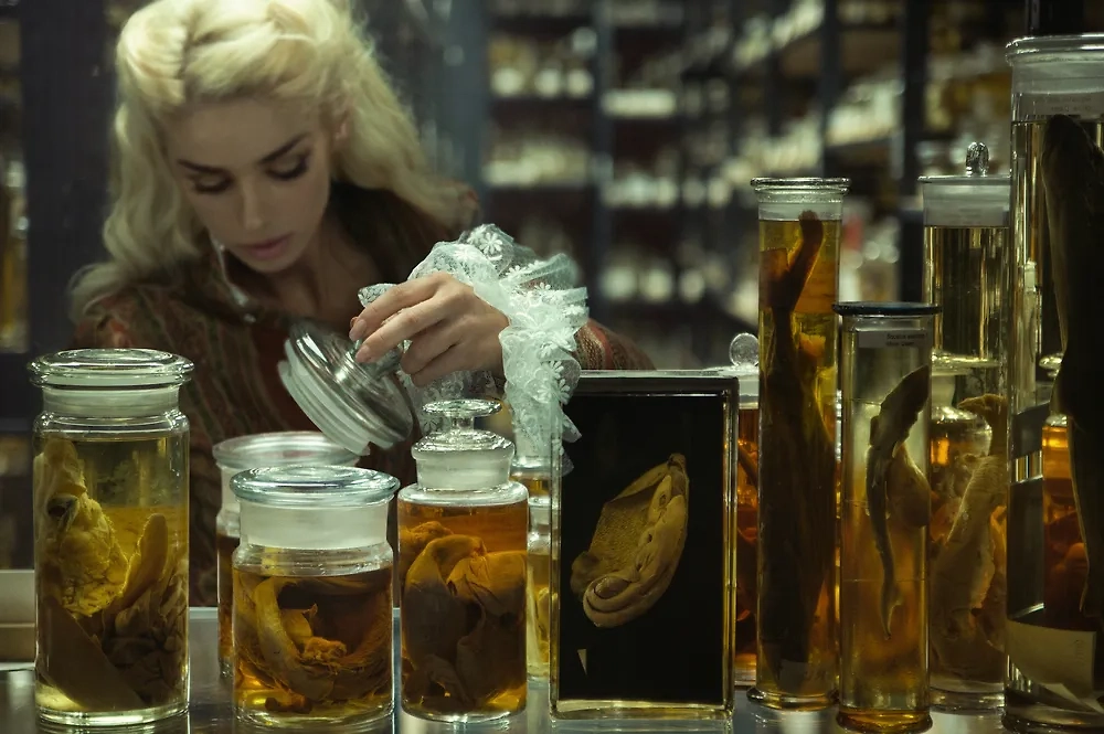 Обложка © Shutterstock / FOTODOM / conrado