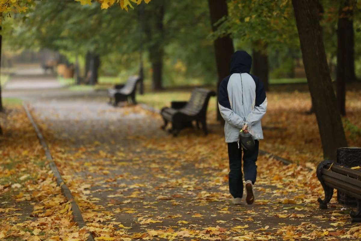 Обложка © Life.ru