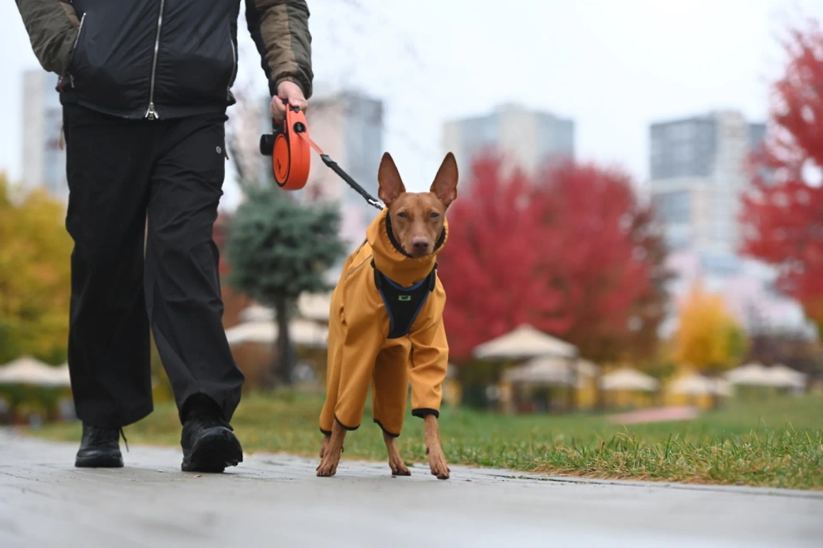 Обложка © Life.ru