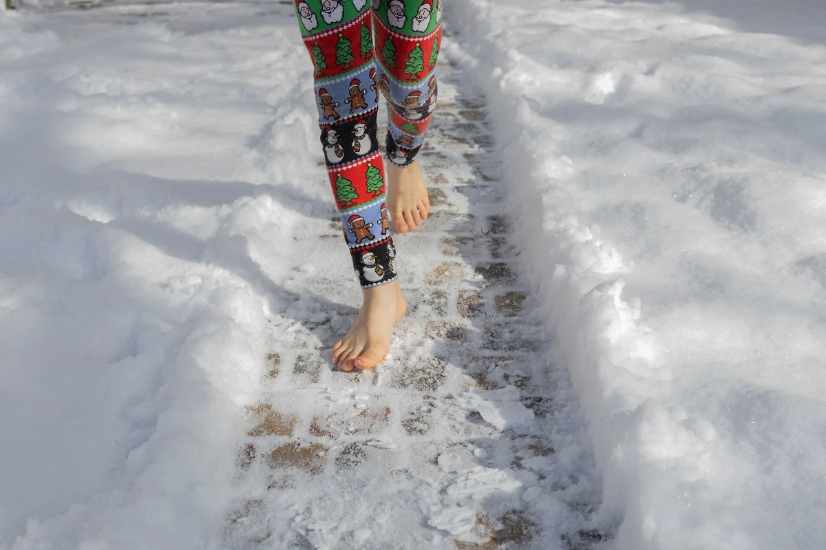 Обложка © Shutterstock / FOTODOM / Anna Pasichnyk