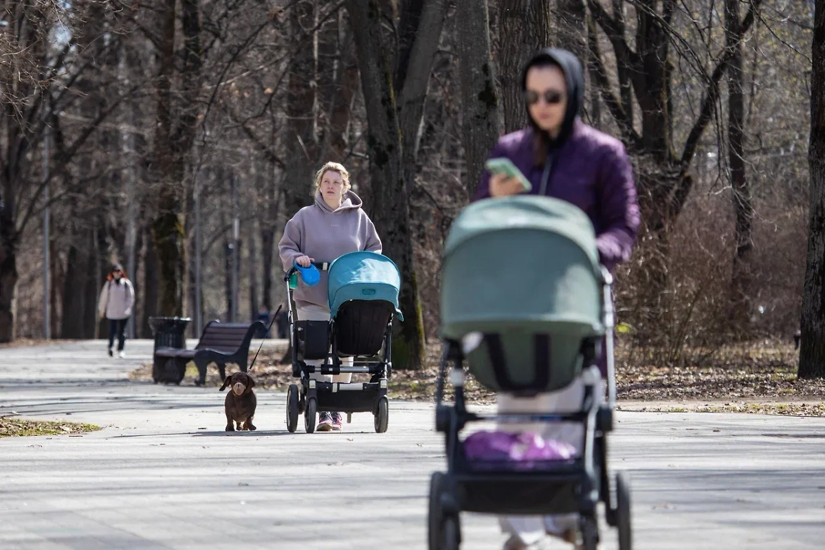 Обложка © Life.ru