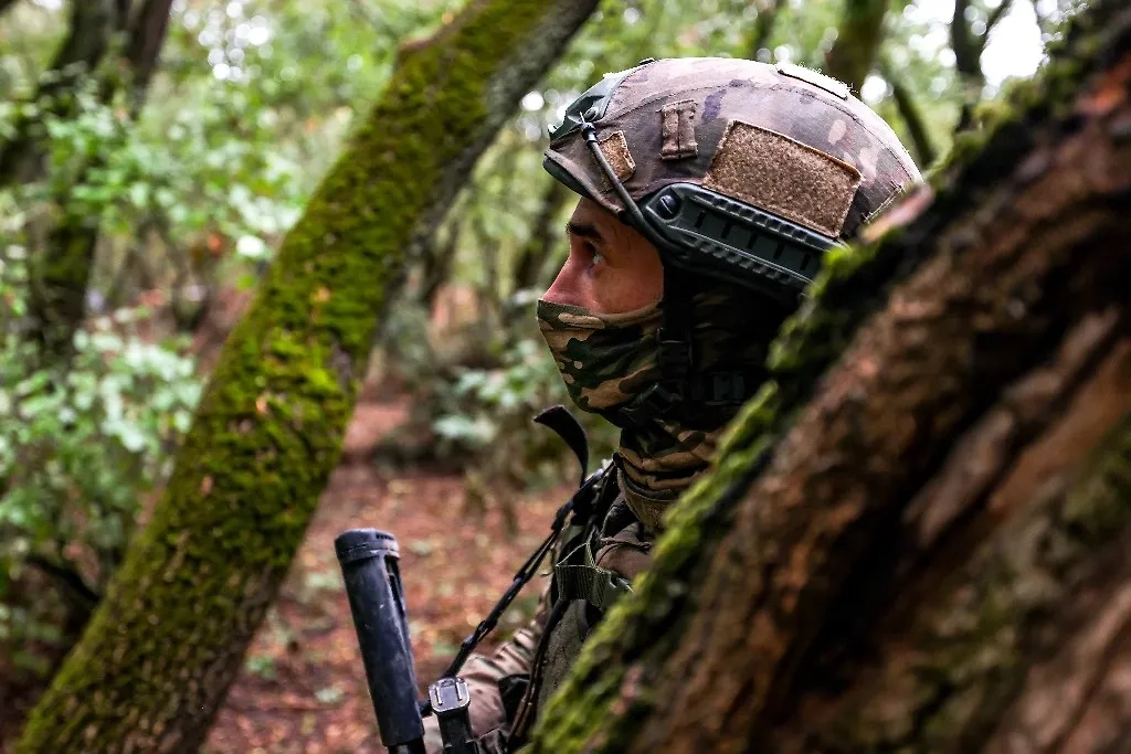 Обложка © ТАСС / Алексей Коновалов