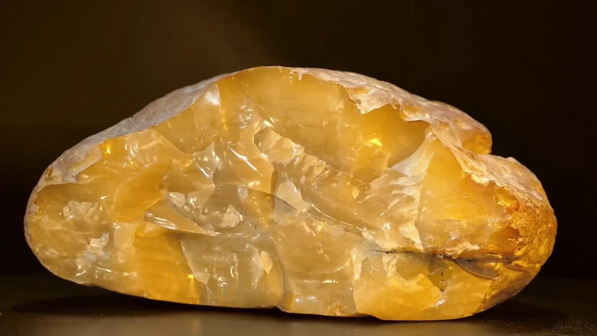 Калининградский янтарный комбинат добыл крупнейший за четыре года самоцвет весом 2,37 кг. Обложка © Янтарный комбинат Ростеха