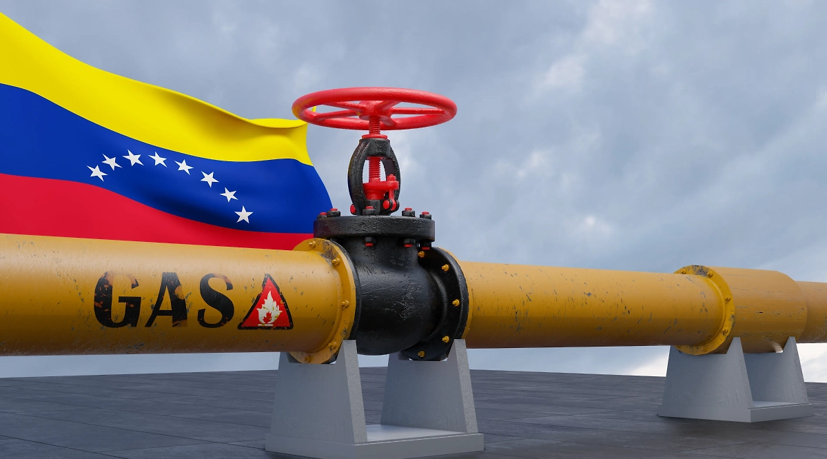 Обложка © Shutterstock / FOTODOM / Fly Of Swallow Studio