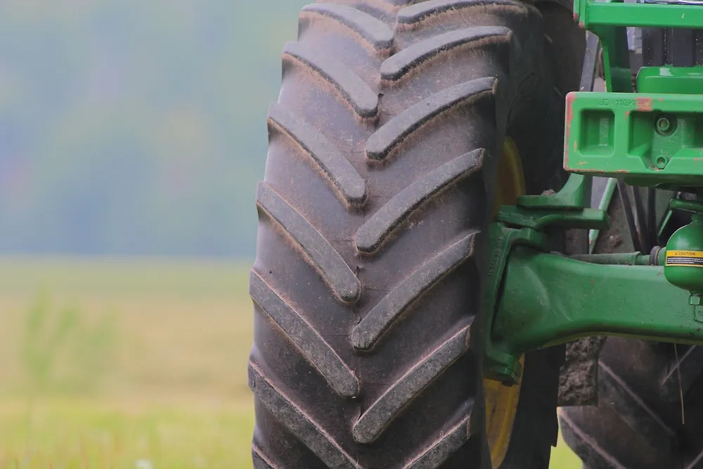 Обложка © Shutterstock / FOTODOM / D and D Photo Sudbury