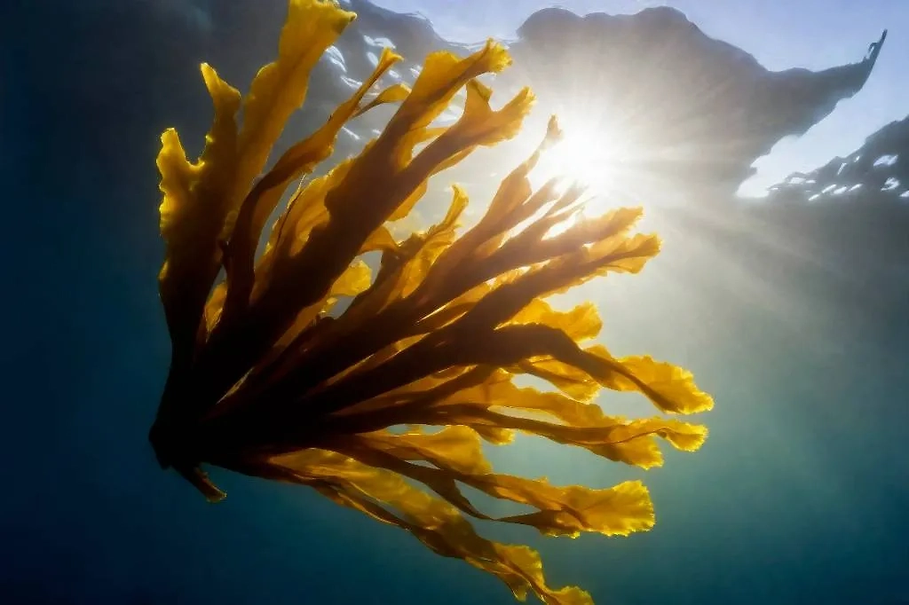 Обложка © Freepik