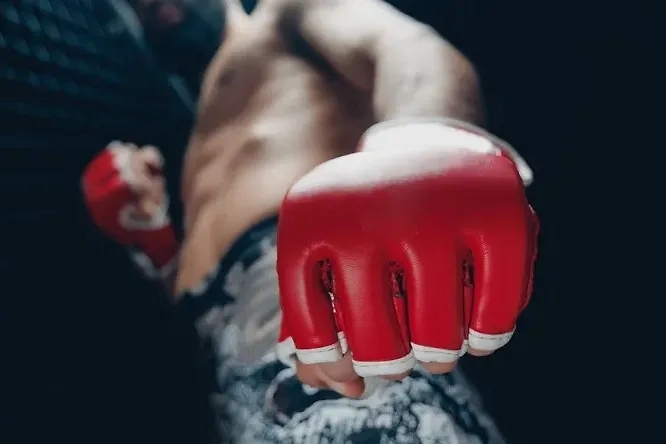 Обложка © Shutterstock / FOTODOM / Parilov