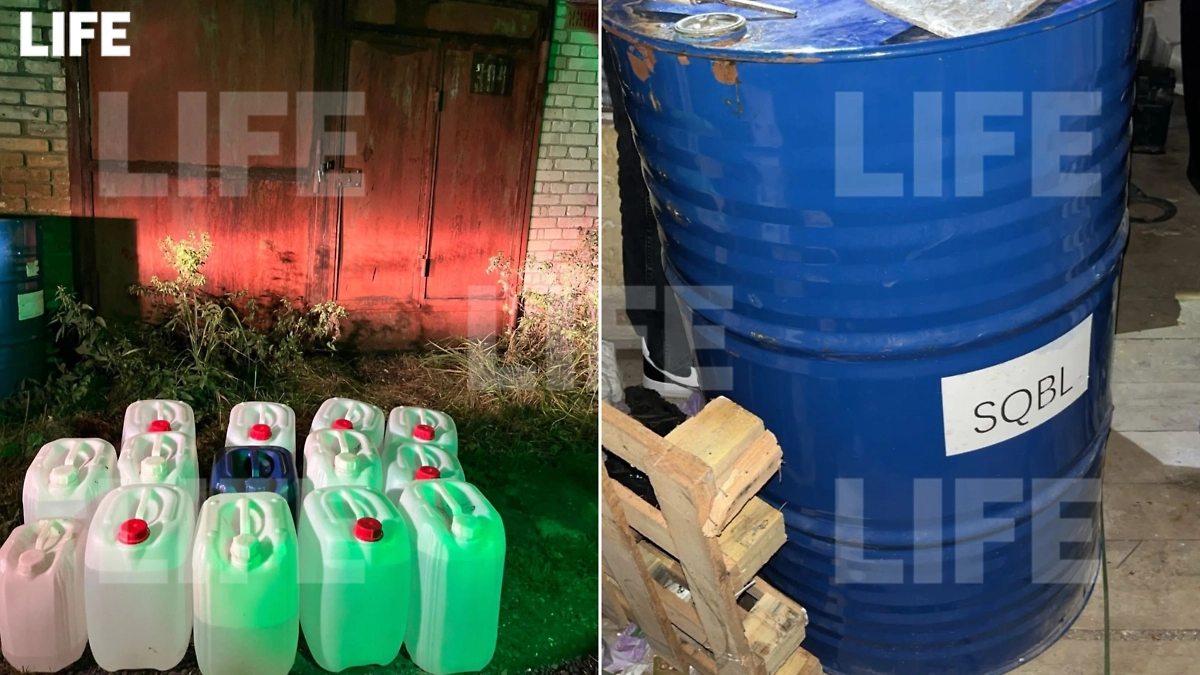 Стоимость партии на «чёрном» рынке оценивается примерно в 400 млн рублей. Фото © Предоставлено ФТС России Life.ru