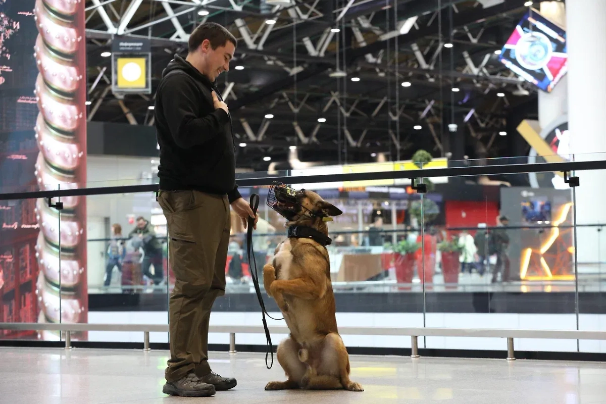 Обложка © Life.ru