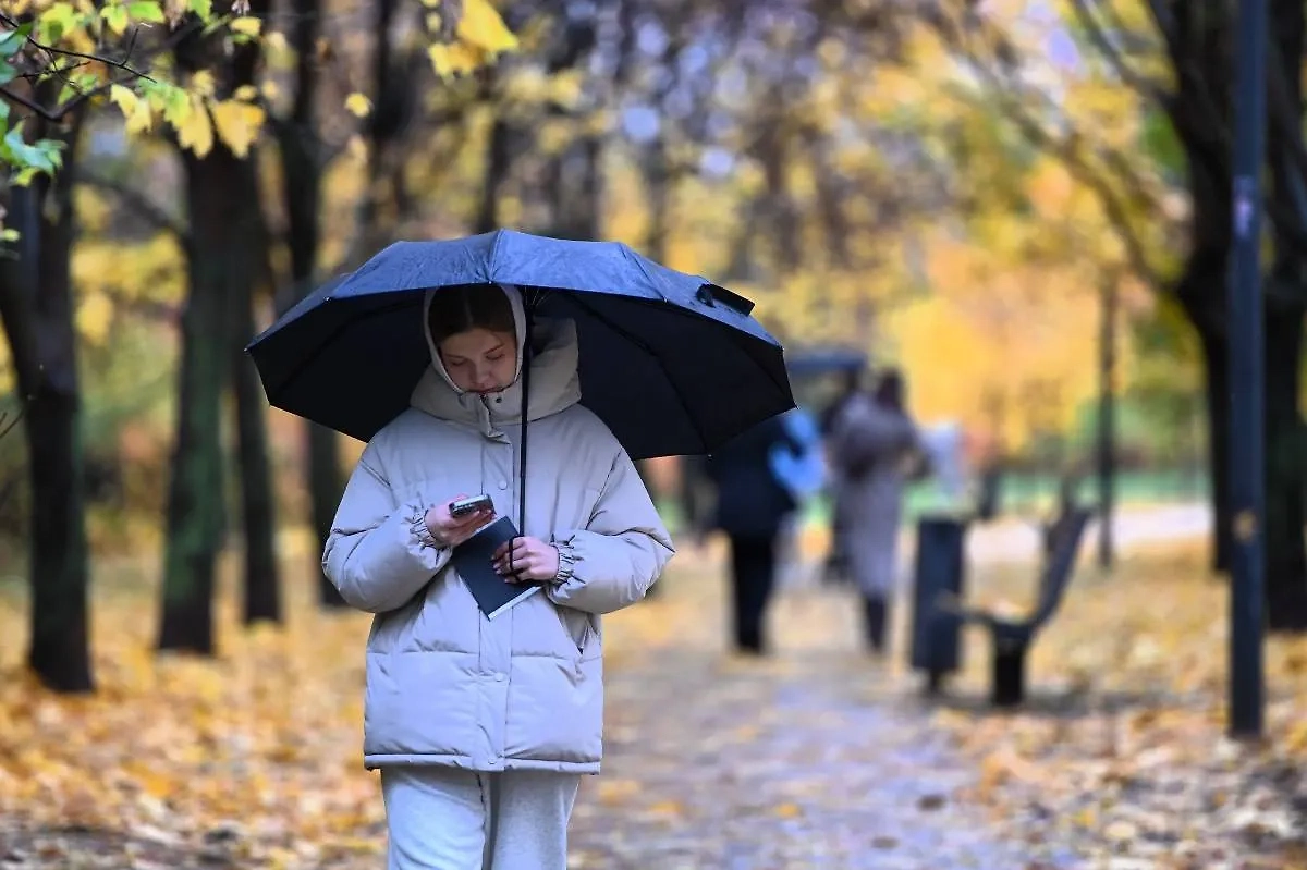 Обложка © Life.ru