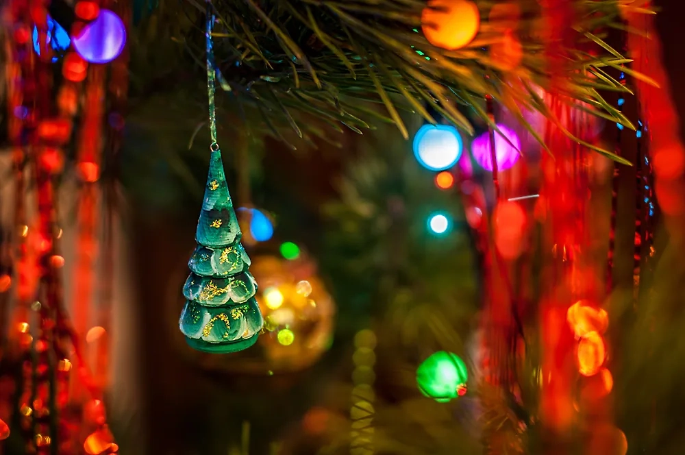 Обложка © Shutterstock / FOTODOM / Valentina Perfilyeva