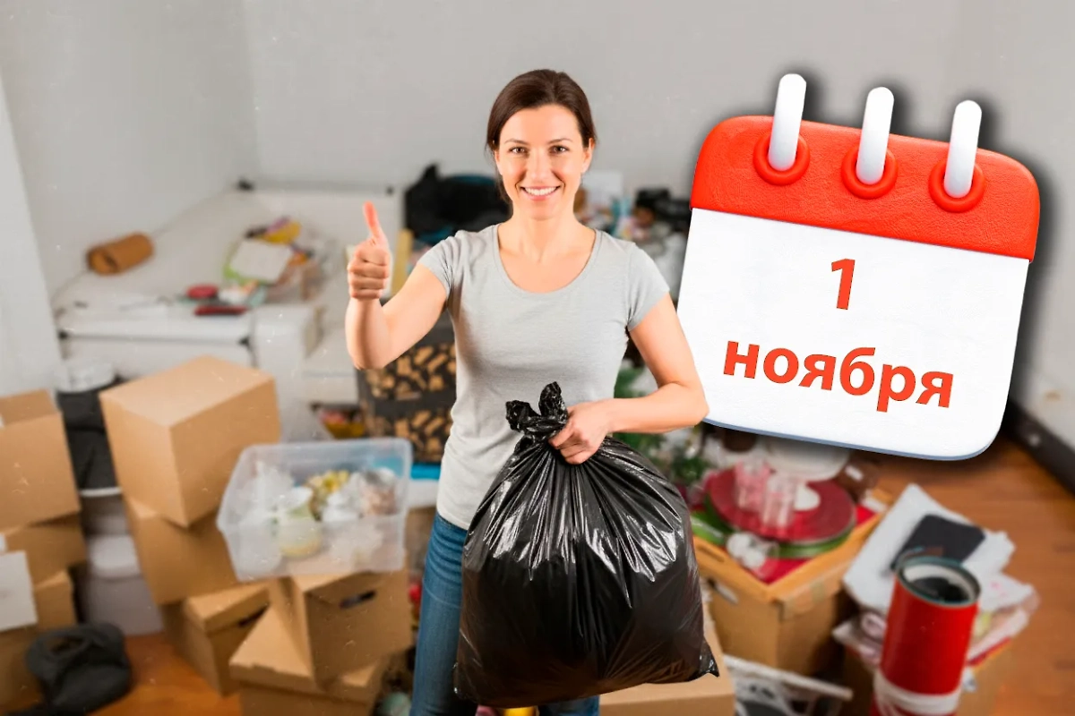 Обложка © Коллаж © Life.ru. Фото © Shutterstock / FOTODOM / Ingrid Balabanova © Gemini Nano Banana © Freepik / mamewmy