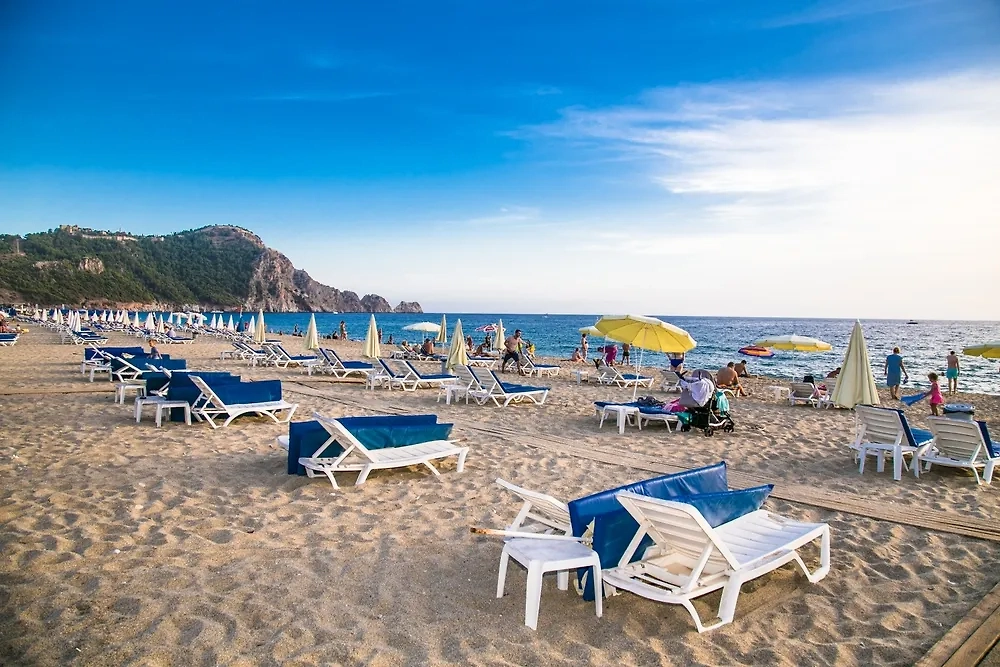 Обложка © Shutterstock / FOTODOM / Aleksandar Todorovic