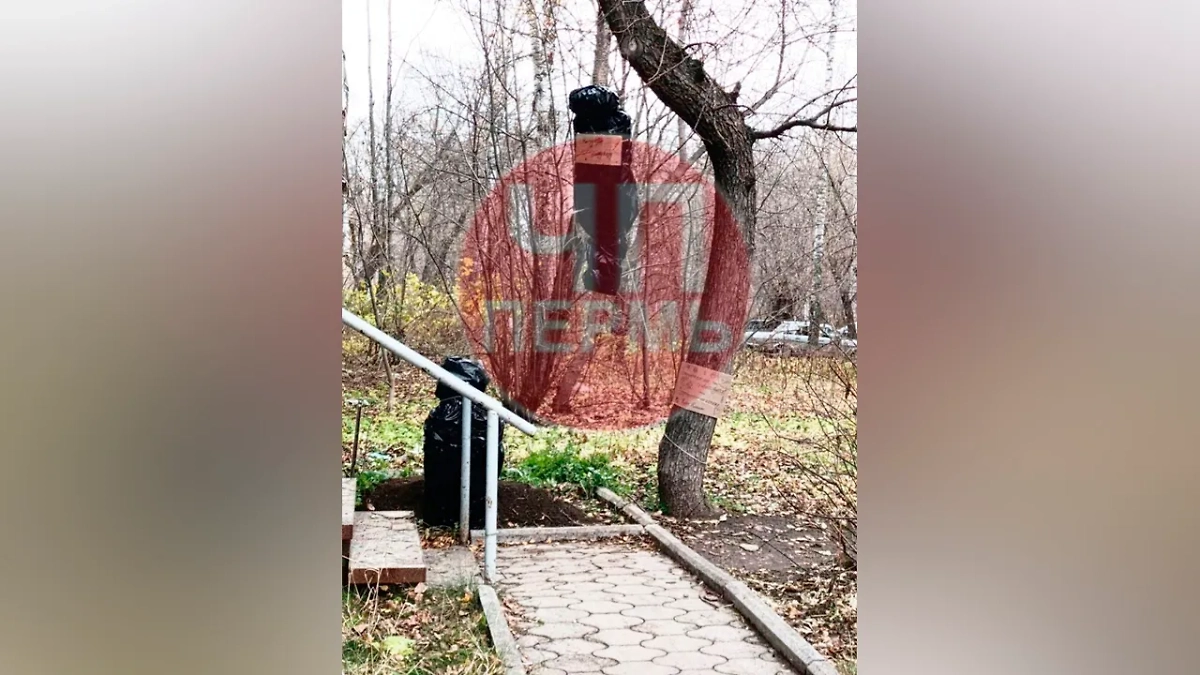 В Перми подвешенный на дерево черный пакет оказался розыгрышем. Фото © Telegram / ЧП Пермь