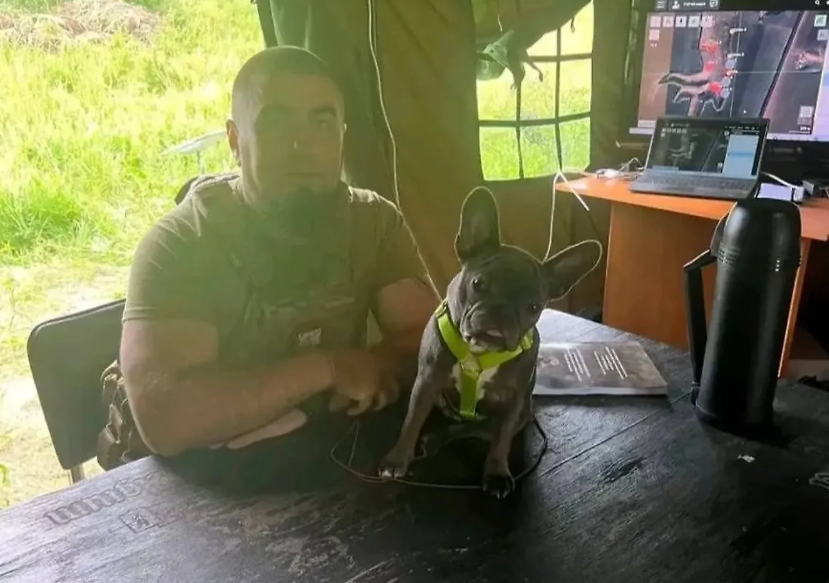 Обложка © TikTok/ / manko_valintin80