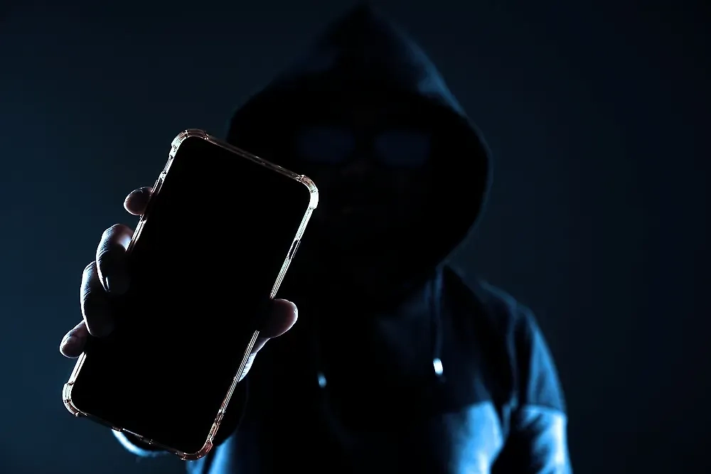 Обложка © Shutterstock / FOTODOM / Hemin Xylan