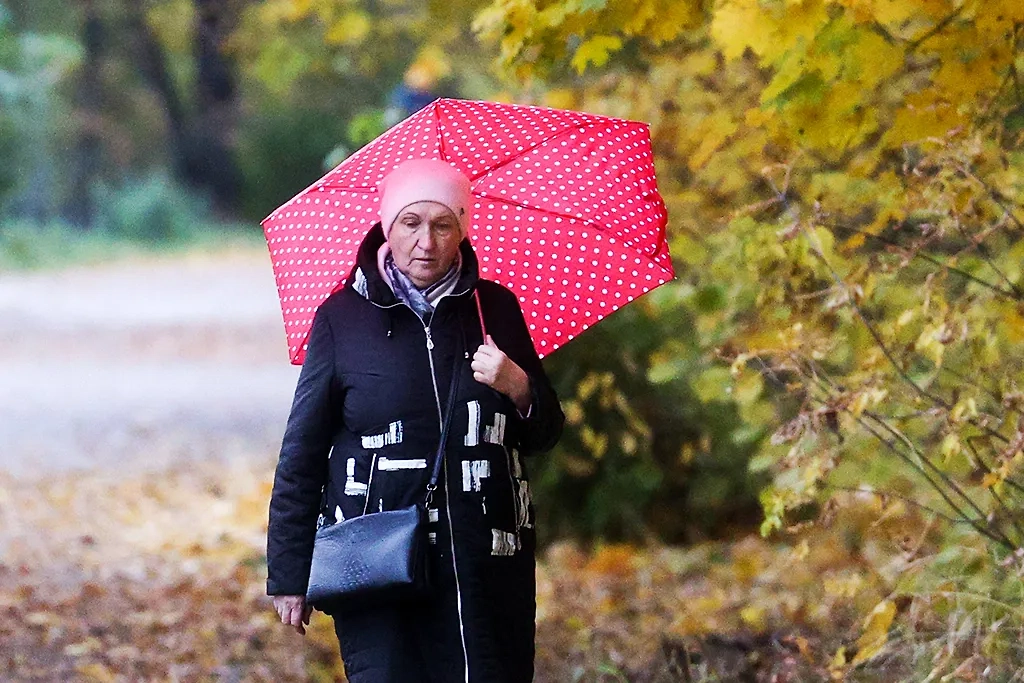 С 1 ноября доплаты к пенсии станут больше. Обложка © ТАСС / NEWS.ru / Сергей Булкин