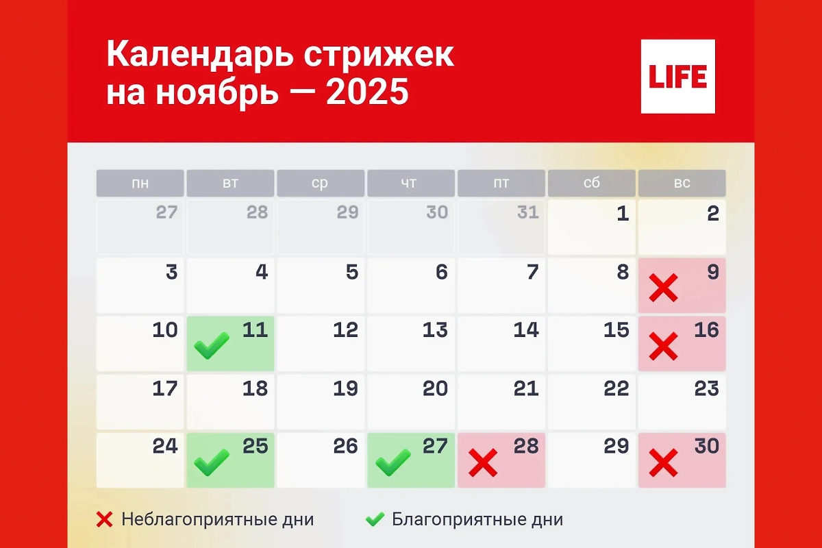 Лунный календарь волос — ноябрь 2025 года. Когда по лунному календарю стричься, когда краситься? Инфографика © Life.ru