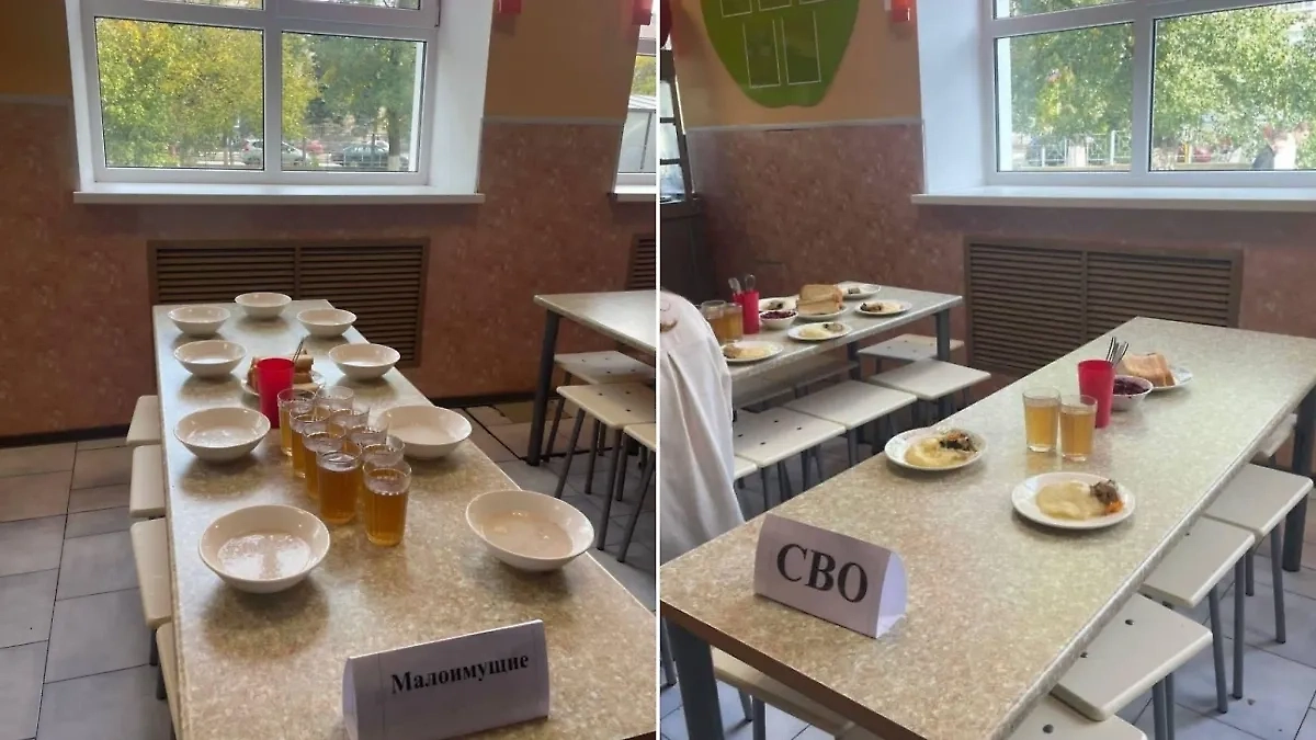 Скандальные таблички в азовской школе. Обложка © Обложка © Telegram / Екатерина Мизулина