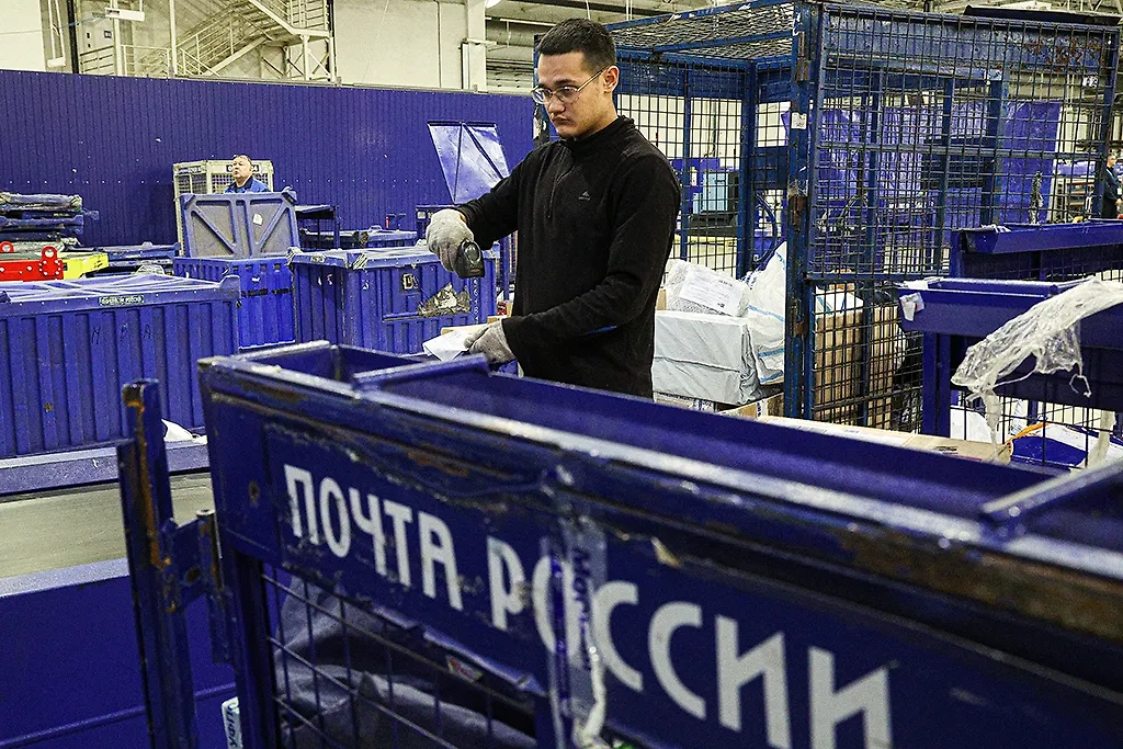 Обложка © ТАСС / Егор Алеев