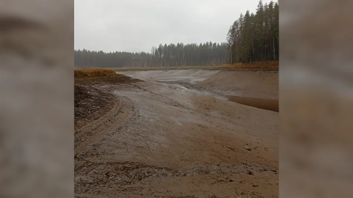 Обложка © VK / Вепсское Шимозерье 