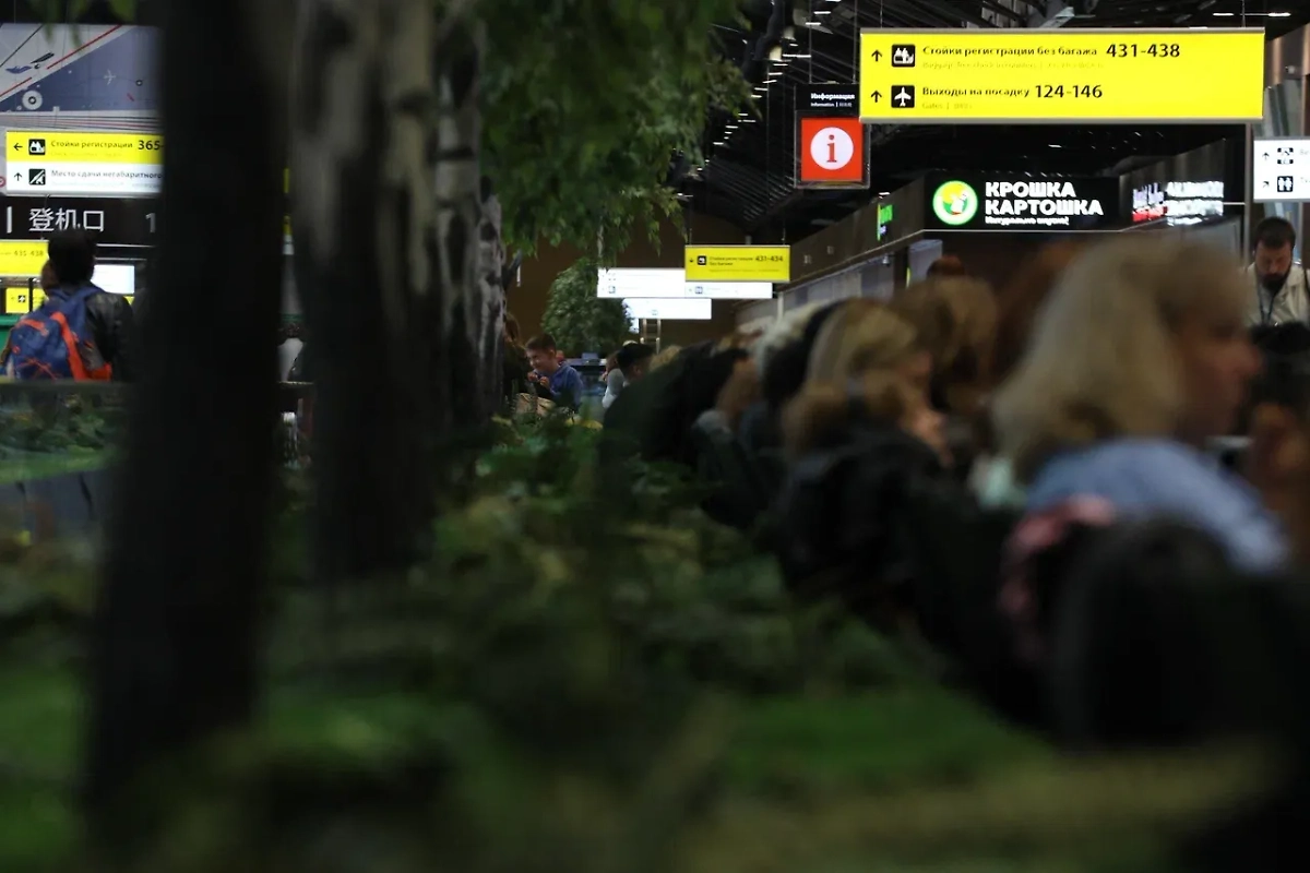 В аэропортах Саратова и Тамбова введён план «Ковёр»