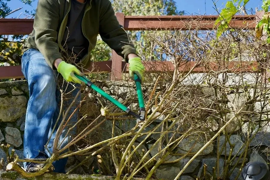 Календарь огородника на ноябрь 2025 — какие работы нужно проделать, чтобы в следующем году снова собрать урожай? Фото © Shutterstock / FOTODOM / Andrea C. Miller
